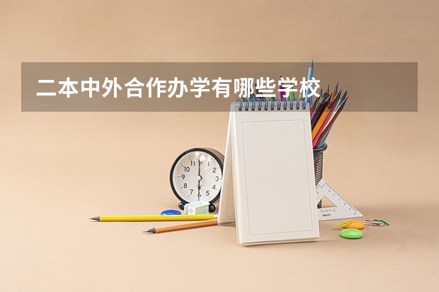 二本中外合作办学有哪些学校