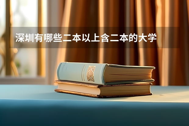 深圳有哪些二本以上含二本的大学