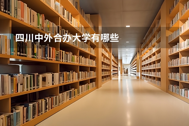 四川中外合办大学有哪些