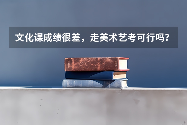 文化课成绩很差，走美术艺考可行吗？