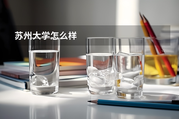 苏州大学怎么样