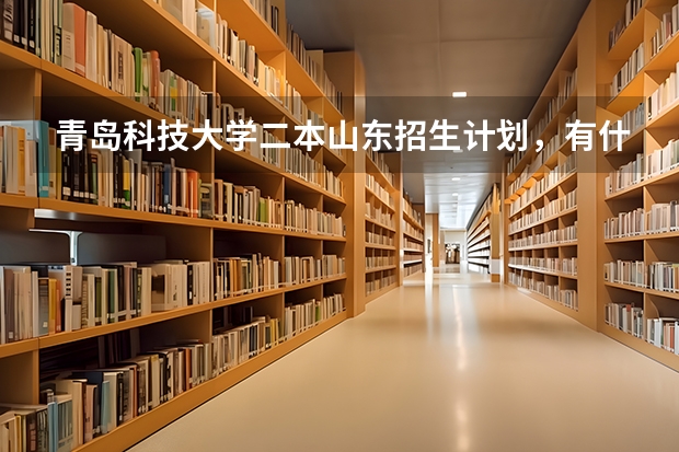 青岛科技大学二本山东招生计划，有什么专业可以选择