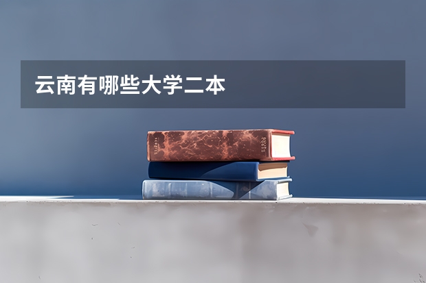 云南有哪些大学二本