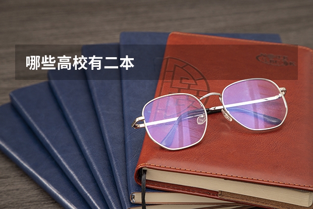 哪些高校有二本