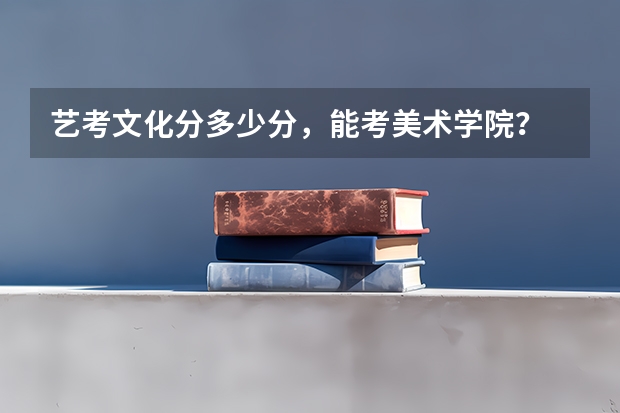 艺考文化分多少分，能考美术学院？