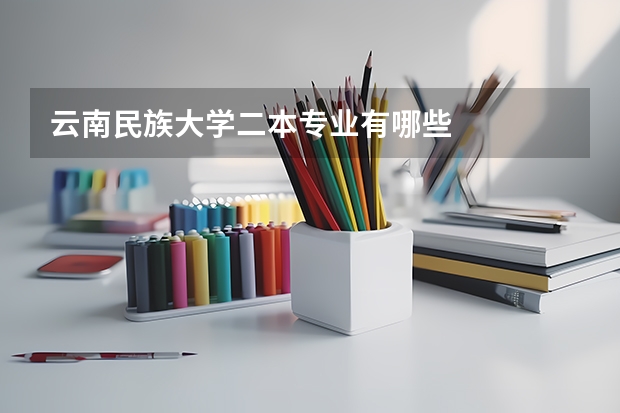 云南民族大学二本专业有哪些