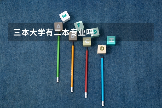 三本大学有二本专业吗
