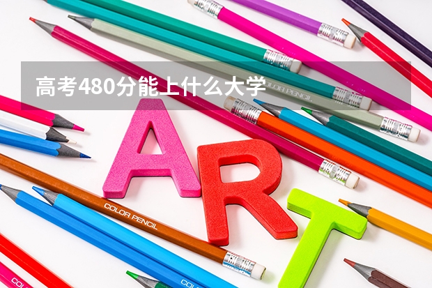 高考480分能上什么大学