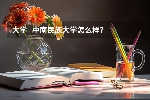 大学   中南民族大学怎么样？