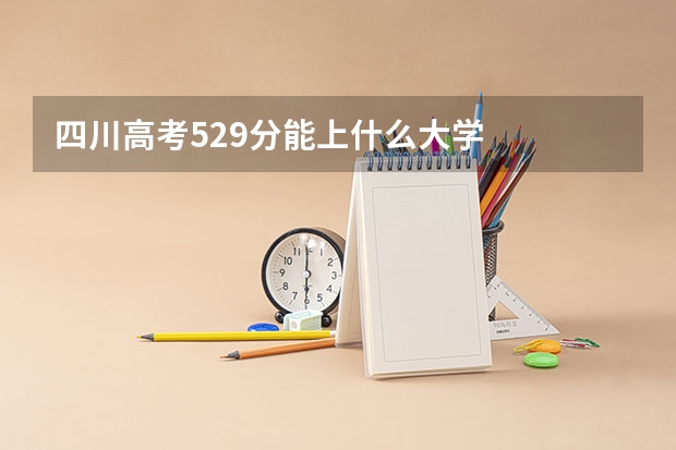 四川高考529分能上什么大学