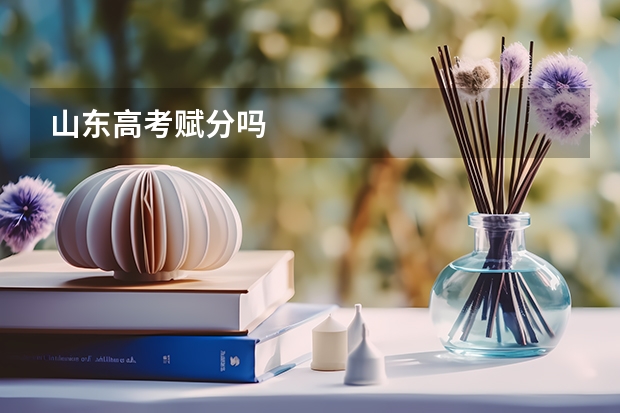 山东高考赋分吗