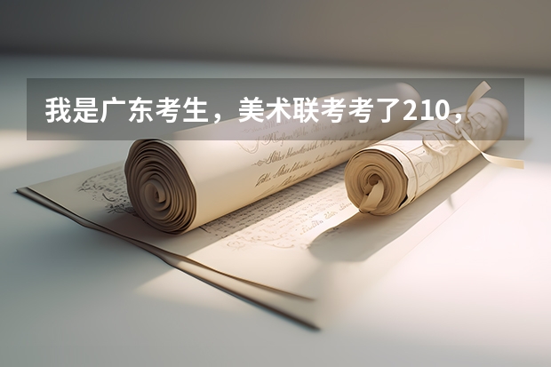 我是广东考生，美术联考考了210，高考文化科考了510，能读什么大学啊？最好是广东省的