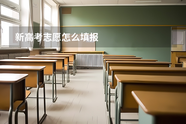 新高考志愿怎么填报
