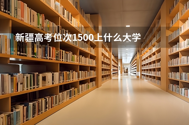 新疆高考位次1500上什么大学