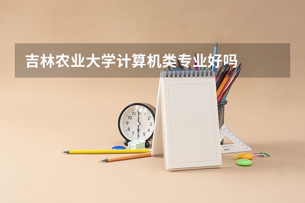 吉林农业大学计算机类专业好吗