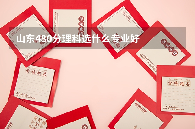 山东480分理科选什么专业好