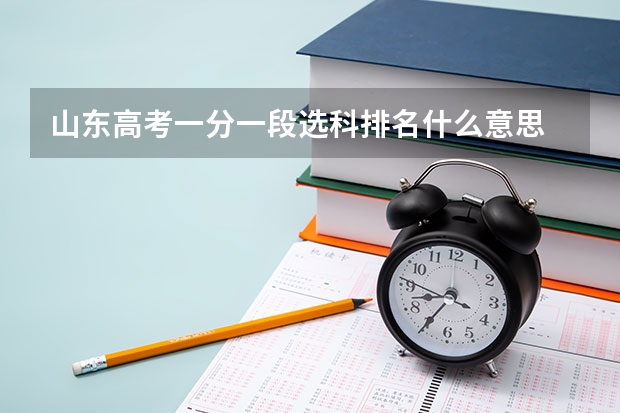山东高考一分一段选科排名什么意思