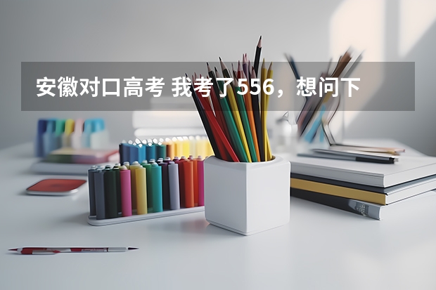 安徽对口高考 我考了556，想问下、能上什么公办的学校，最好是在合肥的