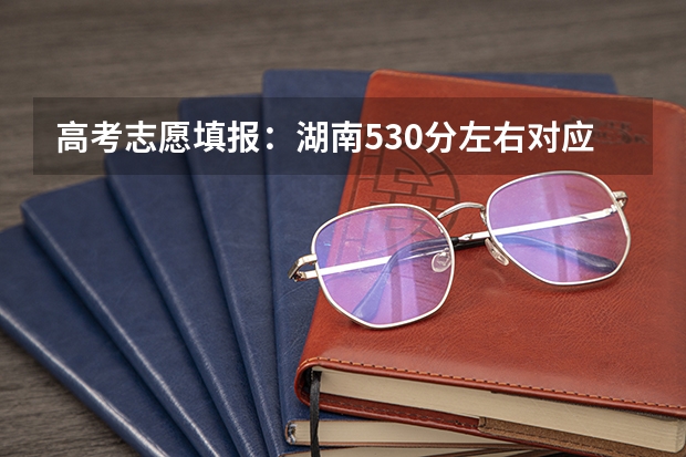 高考志愿填报：湖南530分左右对应位次大学名单 湖南本科公办学校排名及分数线