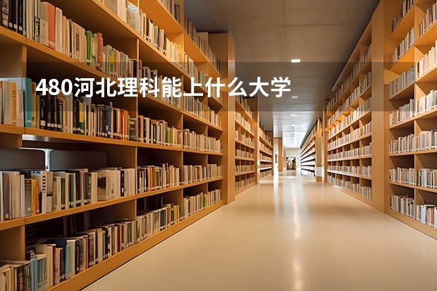 480河北理科能上什么大学