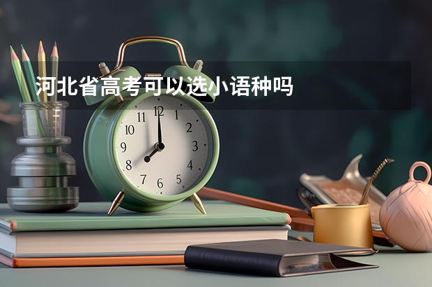 河北省高考可以选小语种吗