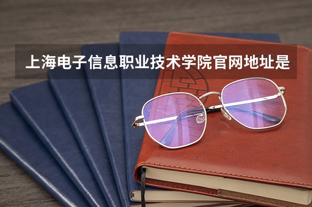 上海电子信息职业技术学院官网地址是多少