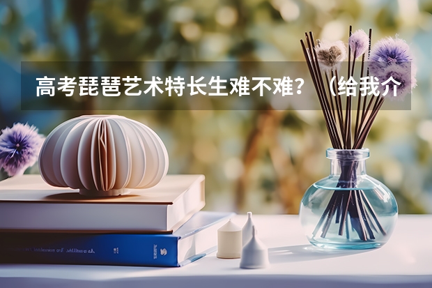 高考琵琶艺术特长生难不难？（给我介绍一下高考艺术特长生的情况吧~~我是学琵琶的）