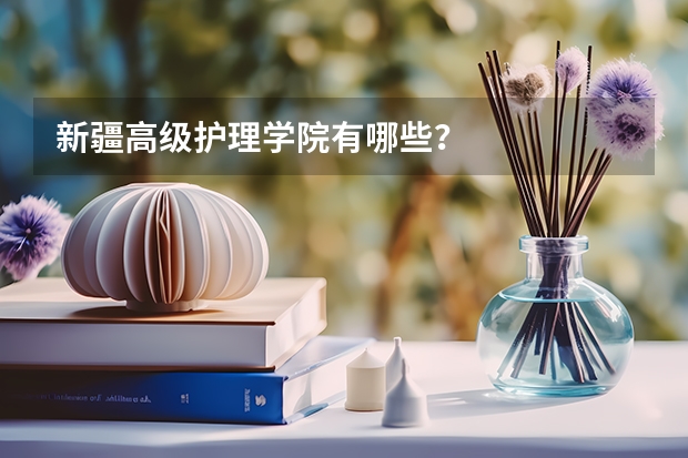 新疆高级护理学院有哪些？