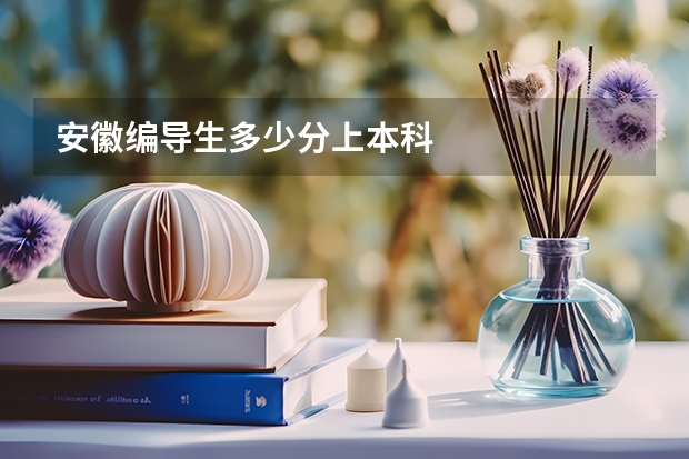 安徽编导生多少分上本科