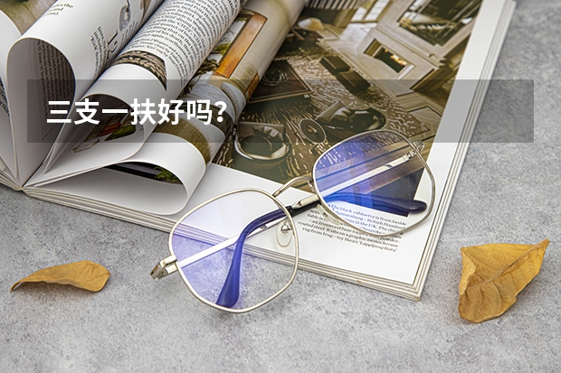 三支一扶好吗?