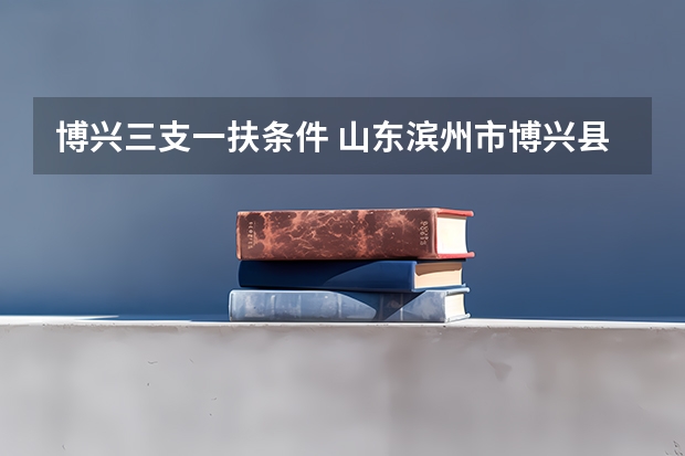 博兴三支一扶条件 山东滨州市博兴县中小学教师招聘简章