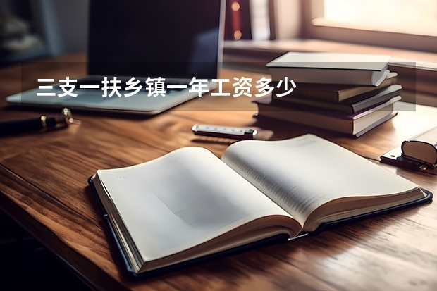 三支一扶乡镇一年工资多少