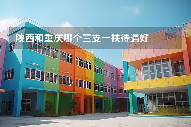 陕西和重庆哪个三支一扶待遇好