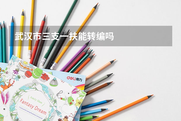 武汉市三支一扶能转编吗