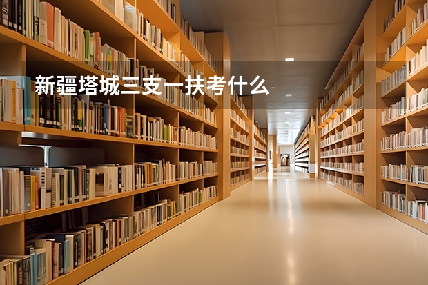 新疆塔城三支一扶考什么