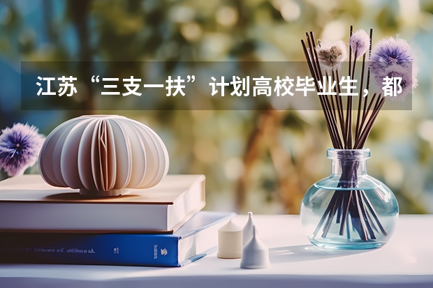 江苏“三支一扶”计划高校毕业生，都有什么待遇？
