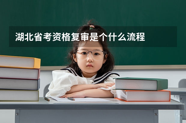 湖北省考资格复审是个什么流程