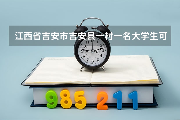 江西省吉安市吉安县一村一名大学生可以考公务员吗