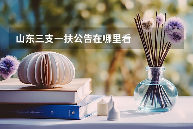 山东三支一扶公告在哪里看