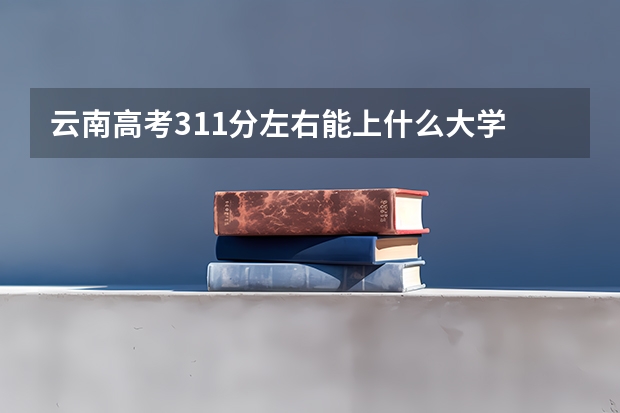 云南高考311分左右能上什么大学