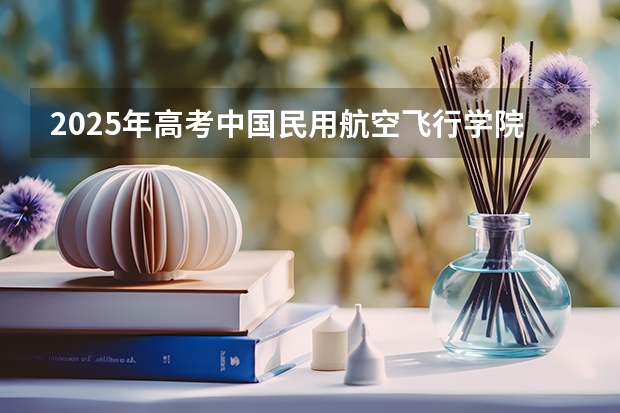 2025年高考中国民用航空飞行学院在广东招生计划是什么