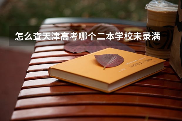 怎么查天津高考哪个二本学校未录满
