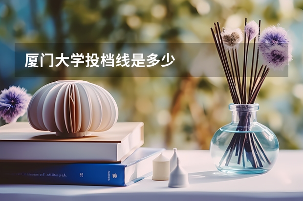 厦门大学投档线是多少