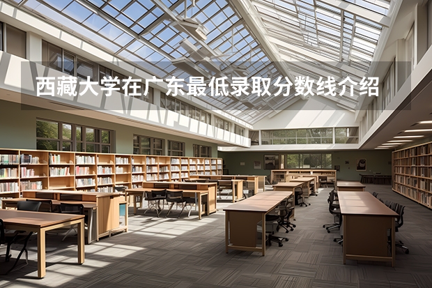 西藏大学在广东最低录取分数线介绍