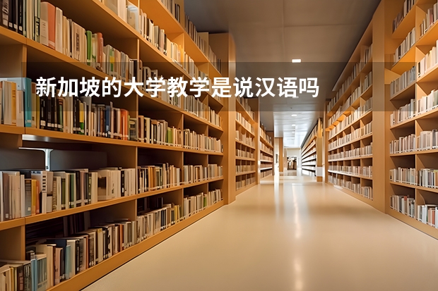 新加坡的大学教学是说汉语吗
