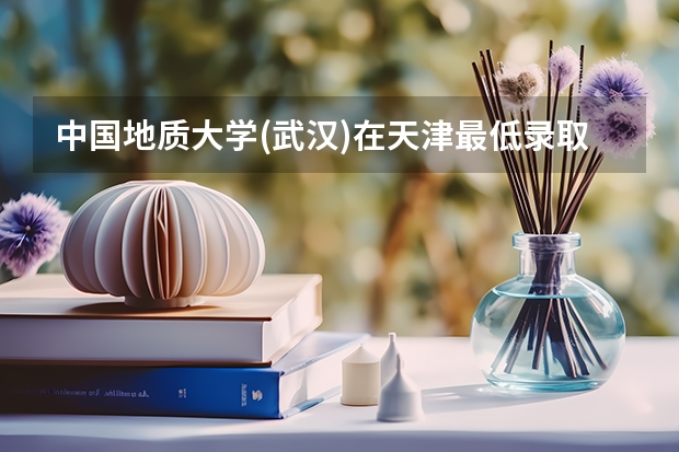 中国地质大学(武汉)在天津最低录取分数线介绍