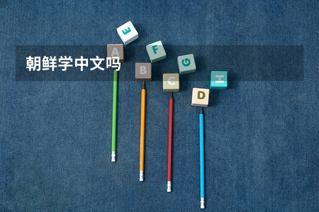朝鲜学中文吗