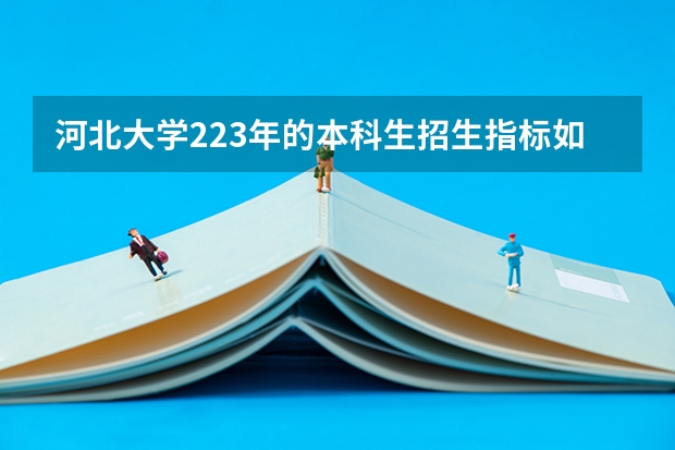 河北大学223年的本科生招生指标如何