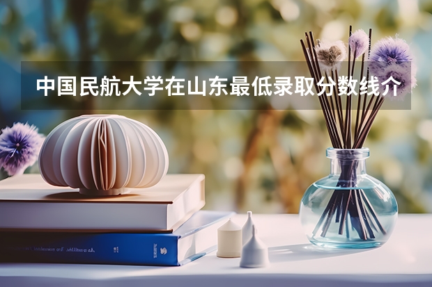 中国民航大学在山东最低录取分数线介绍