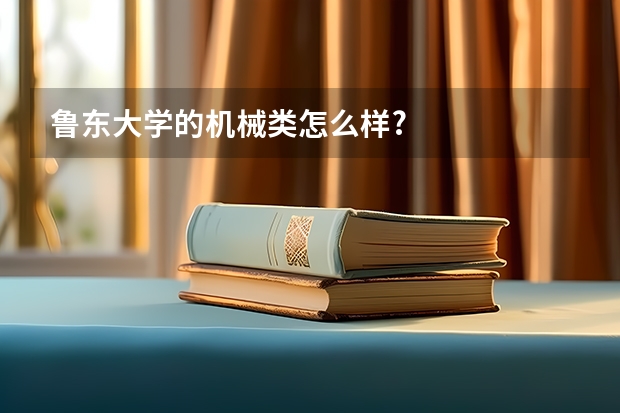 鲁东大学的机械类怎么样?